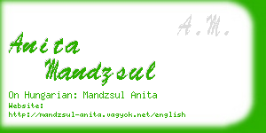 anita mandzsul business card